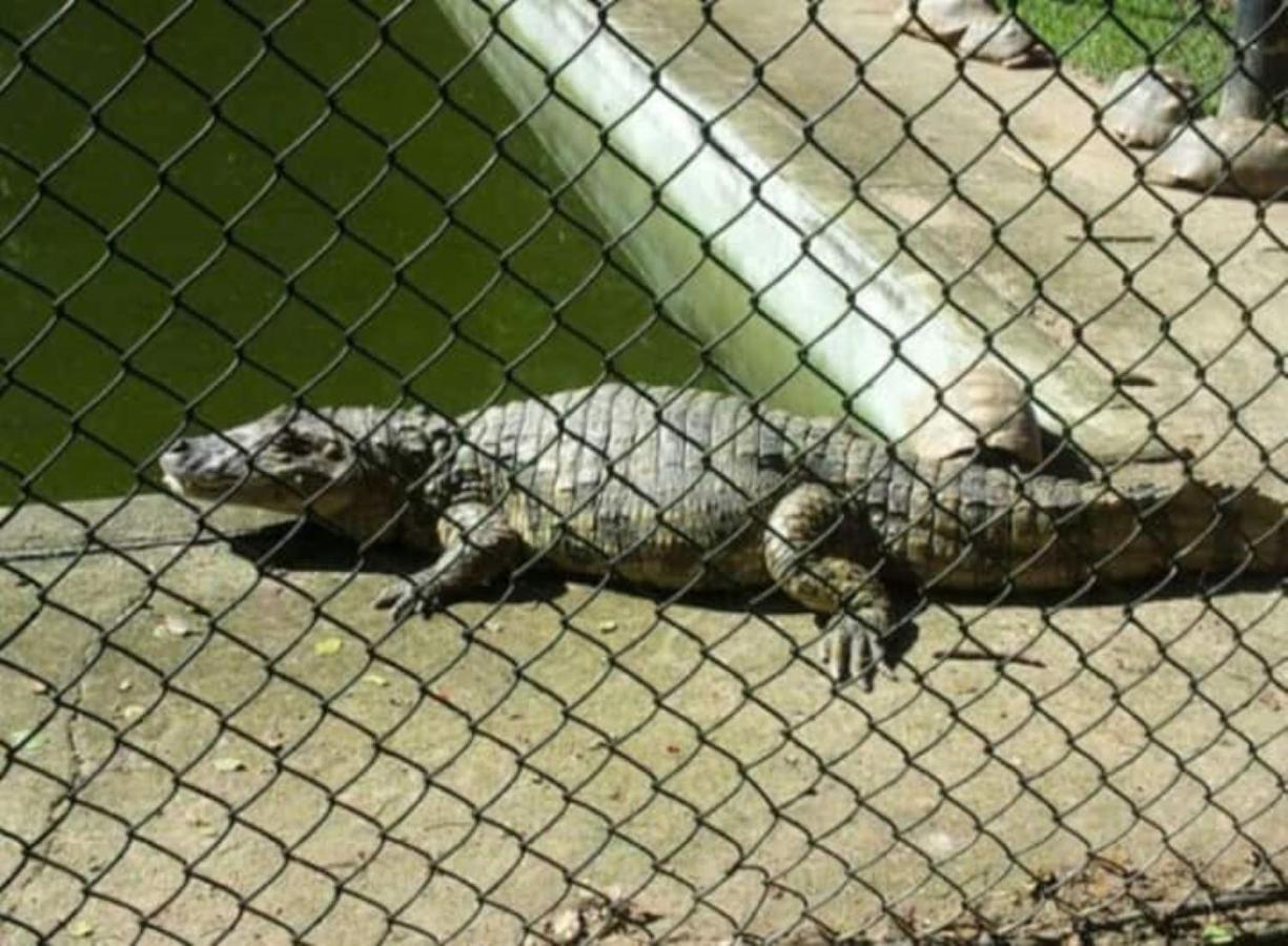 リオデジャネイロLuar Do Pontalアパートメント エクステリア 写真